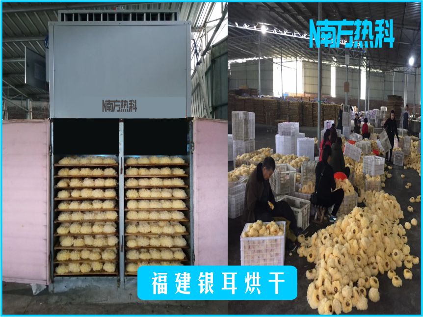 福建銀耳烘干