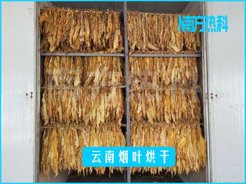 云南煙葉烘干