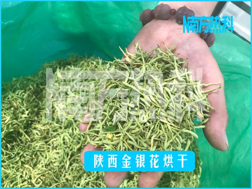 南方熱科金銀花空氣能熱泵烘干機(jī)烘干工藝
