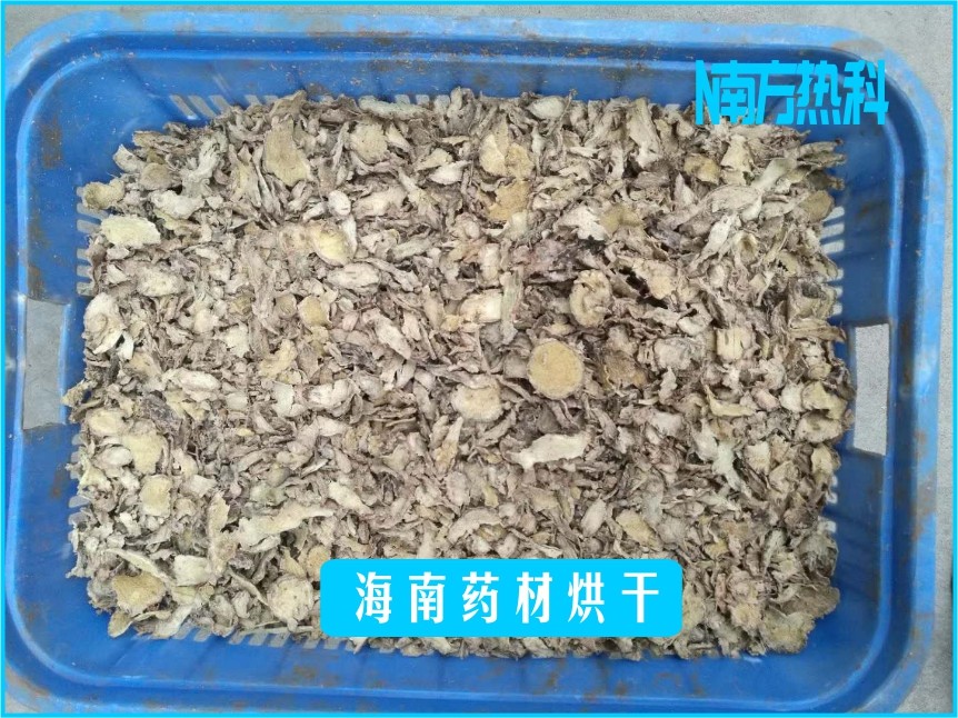 海南藥材烘干(圖5)