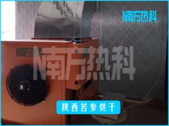 陜西苦參烘干