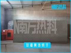 甘肅黃杏烘干