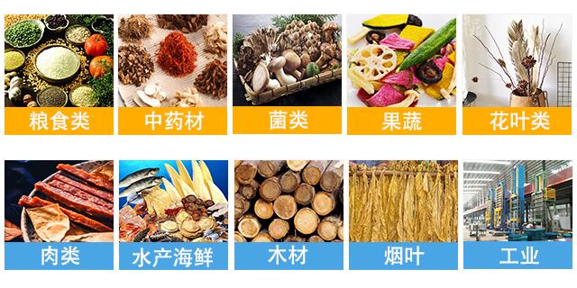 金銀花烘干機(jī)9