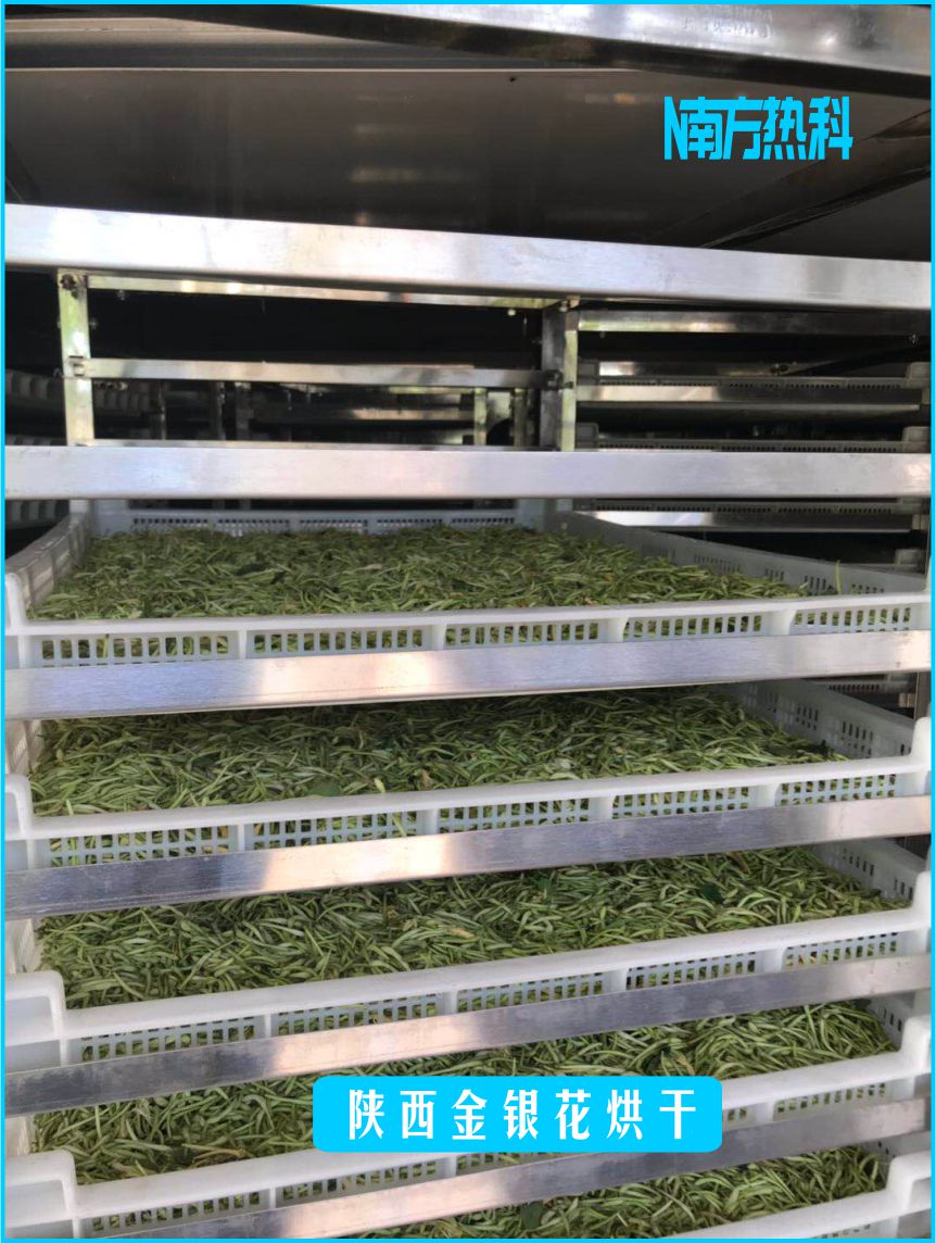 金銀花烘干前準(zhǔn)備